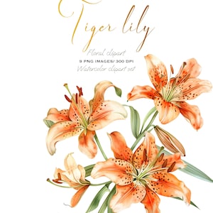 Aquarelle Tiger Lily Corner Clipart : PNG floral pour faire-part de mariage, papeterie et création botanique