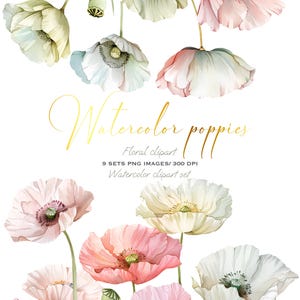 Clipart élégant de bordure coquelicot aquarelle : cadre floral rose PNG pour invitations et scrapbooking