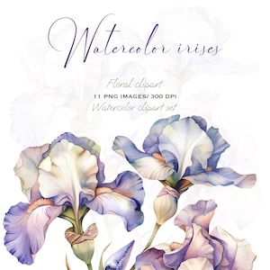 Clipart di iris acquerello dipinto a mano: fiori botanici viola e blu PNG per decorazioni nuziali