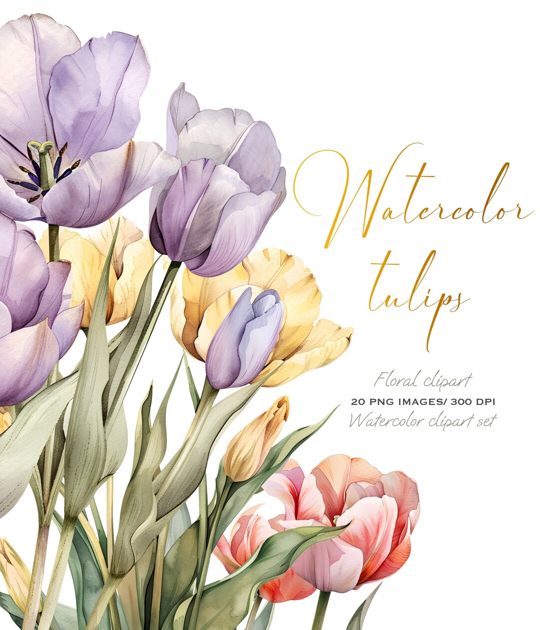 Elegant Watercolor Tulip Clipart Set: Spring Floral Bouquets for ...