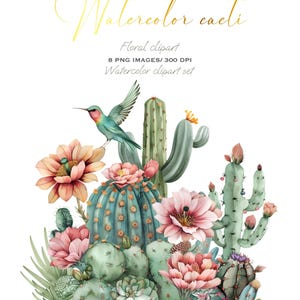 Bordure di cactus e piante grasse con acquerello: pacchetto di clipart PNG con cornici floreali del deserto boho per inviti