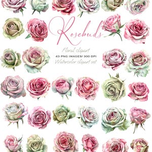 Elegantes Aquarell Rose Clipart: Rosa & Weiß Blumenmuster für Hochzeitseinladungen und Scrapbooks