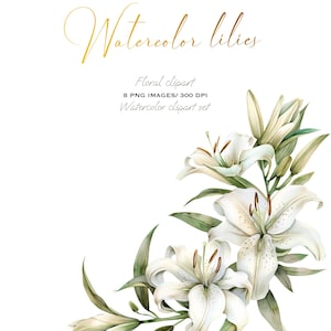 Elegante Aquarell Lilien-Kompositionen für Einladungen, Karten & Clipart - PNG Digital Floral Art