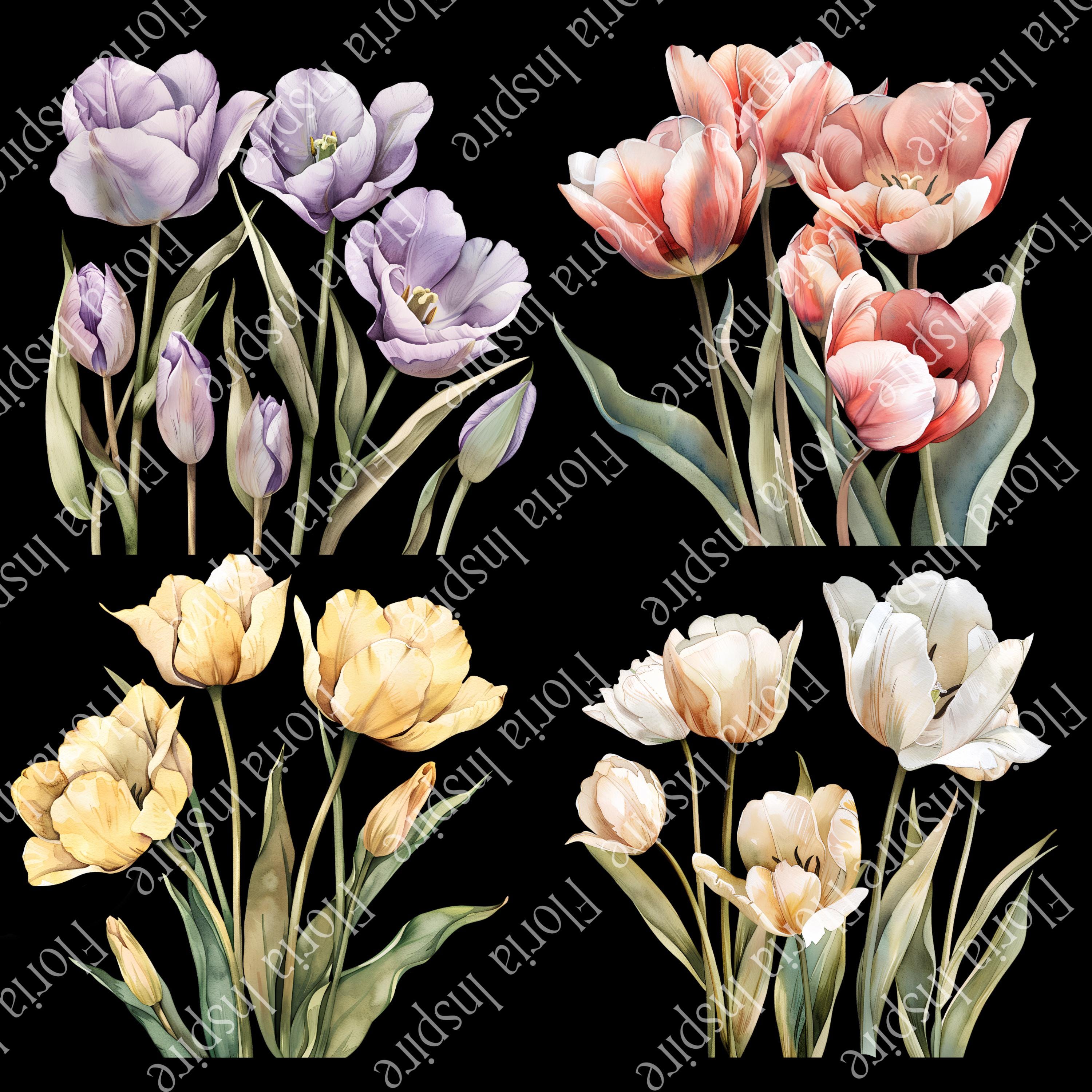 Elegant Watercolor Tulip Clipart Set: Spring Floral Bouquets for ...
