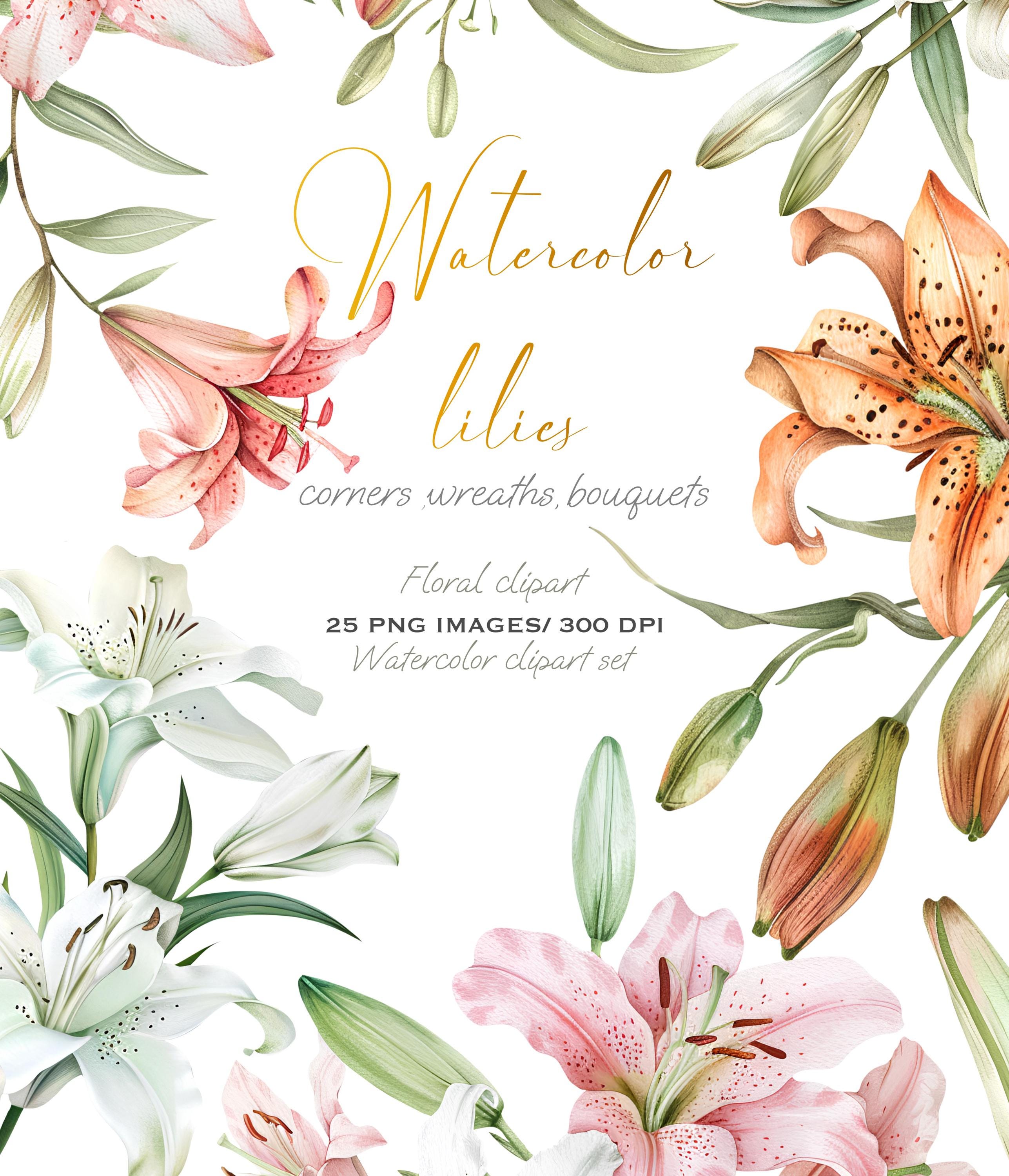 Lillies flowers - Etsy België, image size:2574x3000