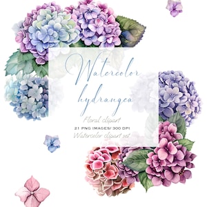 Clipart de hortênsia em aquarela elegante: elementos florais azuis e rosa para convites de casamento