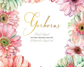 May include: A watercolor clipart set of 40 gerbera daisies in various shades of pink, green, and white. The flowers are arranged in a frame around the text "Gerberas" and the words "Floral clipart, 40 PNG IMAGES/ 300 DPI, Watercolor clipart set".