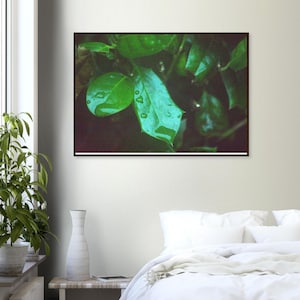 Leafs and Rain Mounted Framed Poster | Nature Wall Art | Handmade Decor