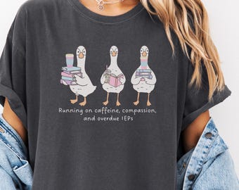 Funny SPED Teacher Shirt Comfort Colors®, Silly Goose Special Education T-shirt, Teacher Life Gift, Inclusion Teacher Tee, RBT Para OT Shirt