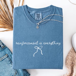 Comfort Colors ABA Therapist Shirt, Reinforcement is Everything Tee, Behavior Analyst Gift, Minimalist SPED Teacher Shirt, RBT Bcba Tee