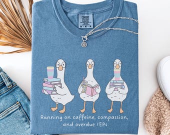 Comfort Colors® Silly Goose SPED Teacher Shirt, Special Education Teacher Tee, Funny Teacher Gift, Inclusion Squad Shirt, RBT Para OT Tshirt