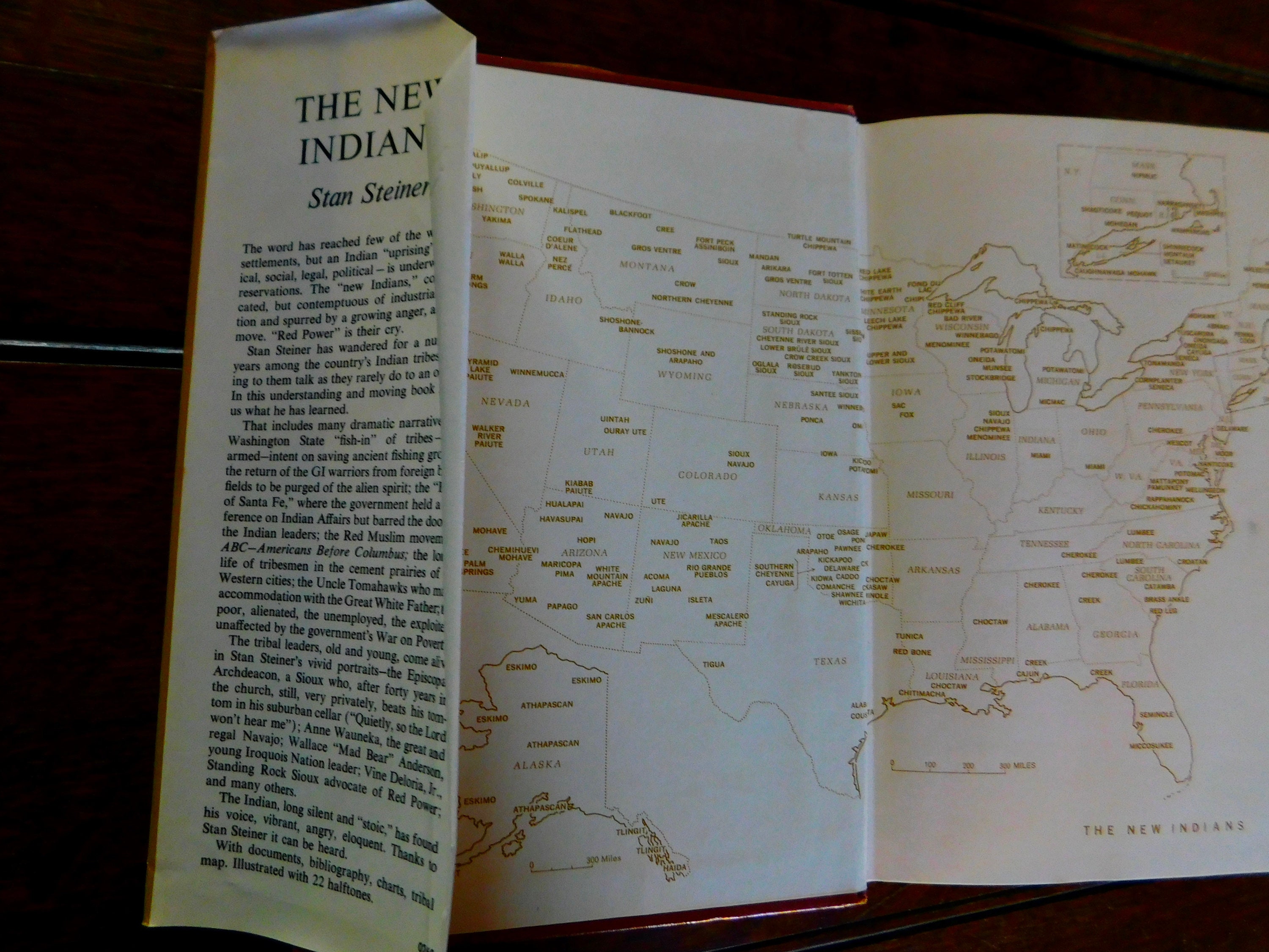 The New Indians by Stan Steiner - First Edition Hardcover With