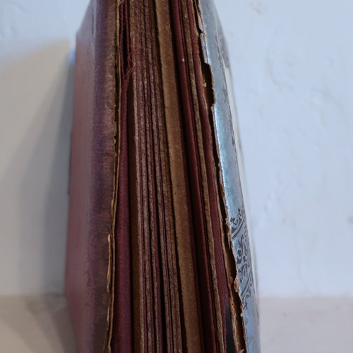 Antique Photo Album with Photos - 1800's? - Dutch Cabinet shops Card Album with Painted Portrait Cover - Antique Photos - Fragile Condition
