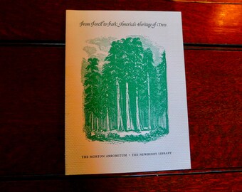 Del bosque al parque: El legado arbóreo de Estados Unidos (1997) - Un hermoso libro ilustrado sobre árboles
