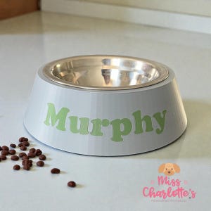 A light gray dog bowl with a stainless steel insert has the name "Murphy" in green letters on the front, with scattered brown dog food kibble to its left.