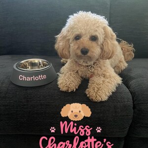 A small, light brown curly-haired dog lies on a dark gray couch next to a dark gray dog bowl with a stainless steel insert and the name "Charlotte" in white letters.