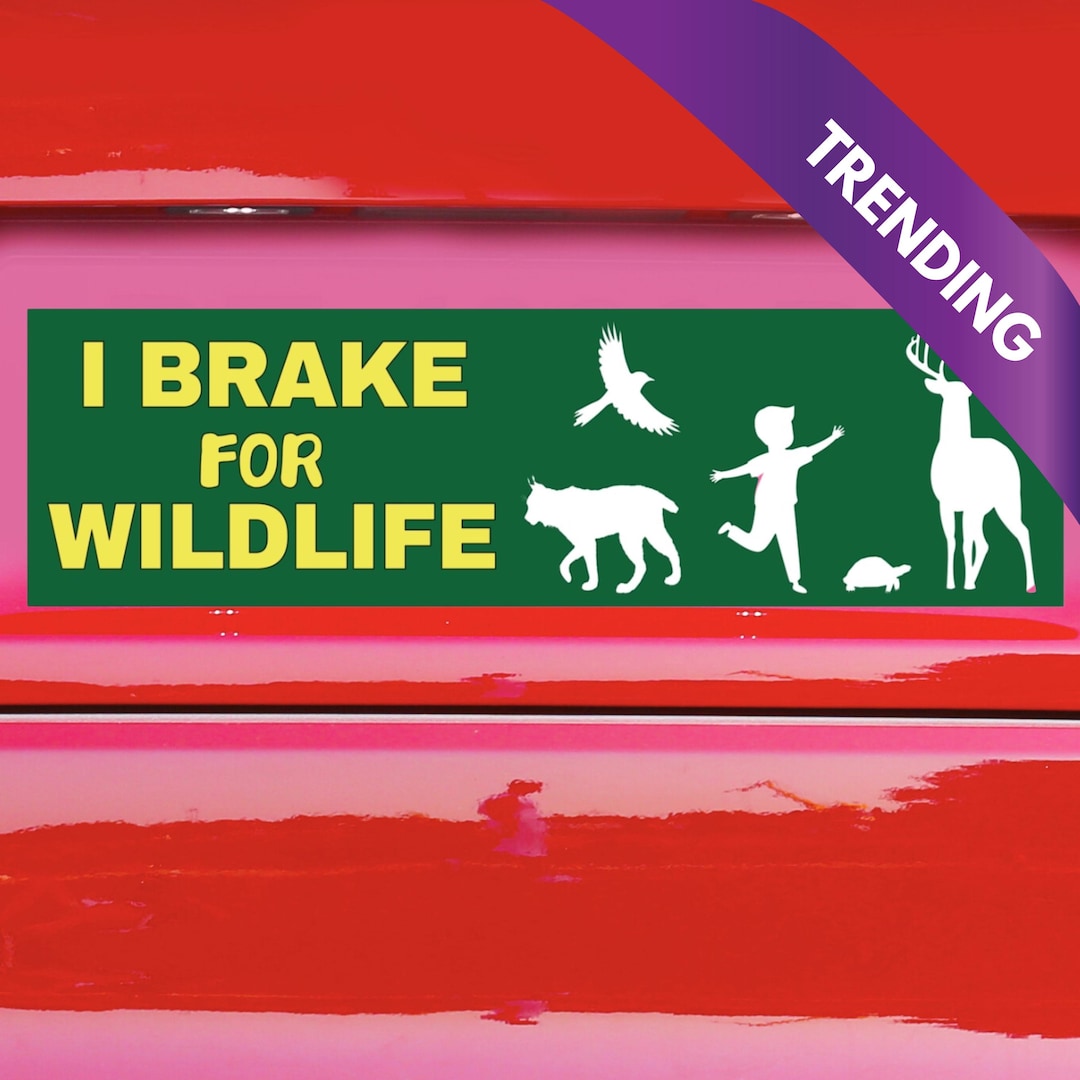 Brake for Wildlife Bumper Sticker - Wildlife Awareness Bumper Sticker ...