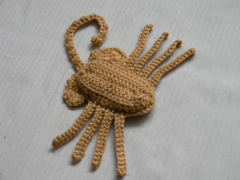Alien Facehugger Cat Toy Etsy