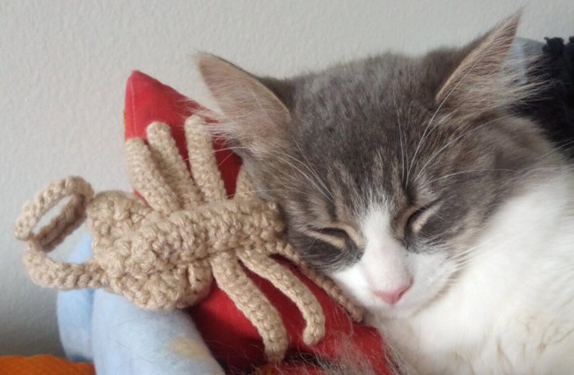 Alien Facehugger Cat Toy Etsy