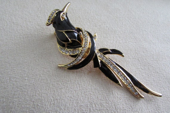 Brooch bird of paradise.