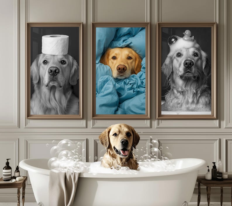 May include: Three framed black and white photographs of a golden retriever dog. The dog is wearing a toilet roll on its head in one photo, a rubber ducky on its head in another photo, and is covered in a blue blanket in the third photo. A golden retriever dog is sitting in a white bath filled with bubbles.