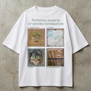 May include: White t-shirt featuring the text "POTENTIAL SOURCES OF HIDDEN INFORMATION" above four framed images. The images show a houseplant, a cloud, fruit, and patterns. The shirt is made of a soft fabric.