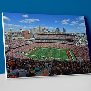 Cincinnati Bengals Stadium Poster or Canvas