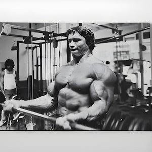 Arnold Schwarzenegger Poster or Canvas