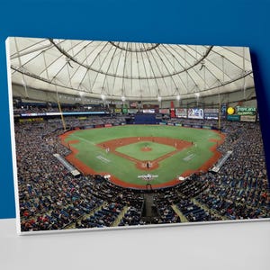 Tampa Bay Rays Stadium Poster or Wrapped Canvas