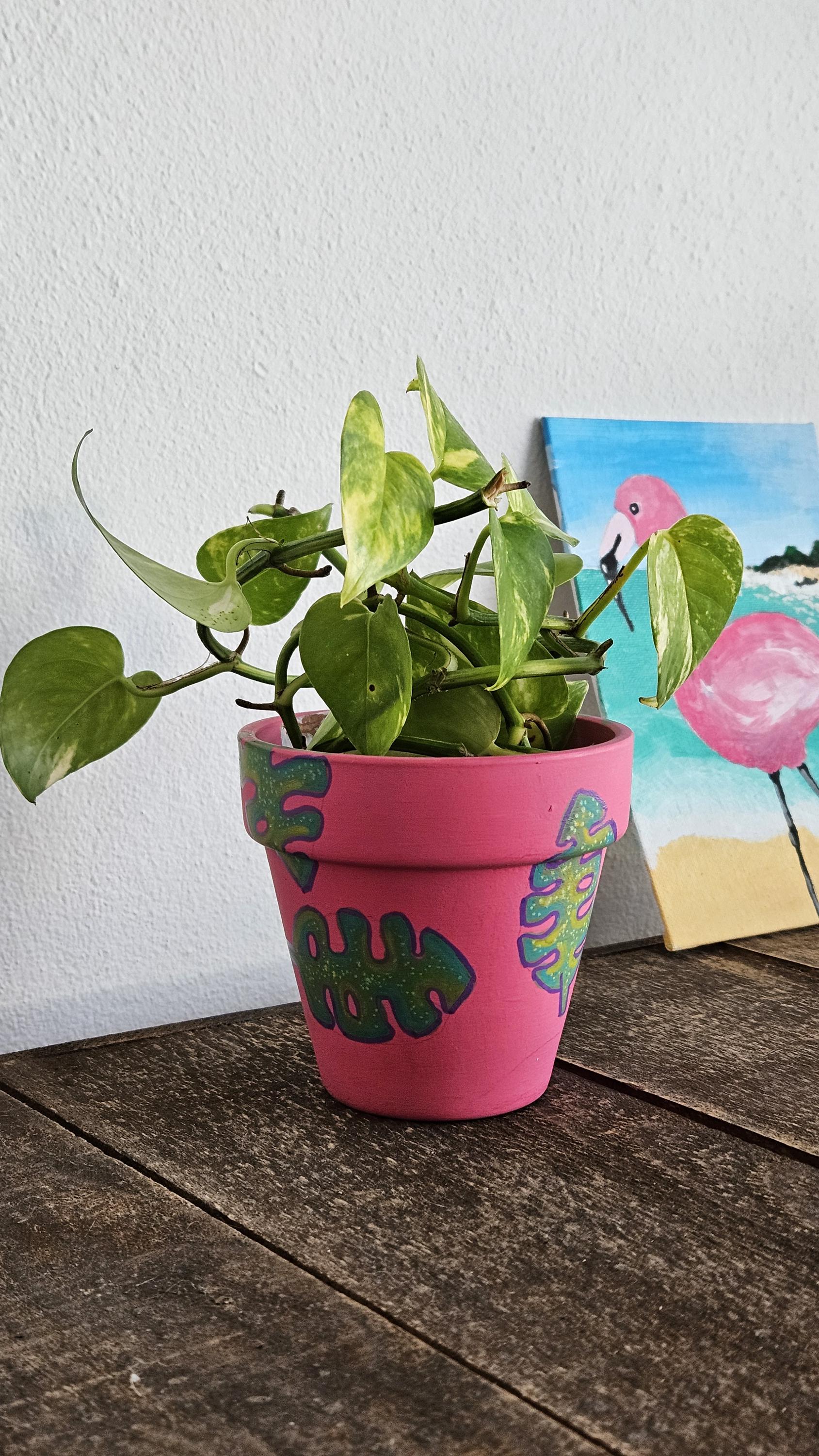 Hand-painted Monstera Leaf Terracotta Pot  Tropical Plant Pot  Pink &  Green Decor - Etsy