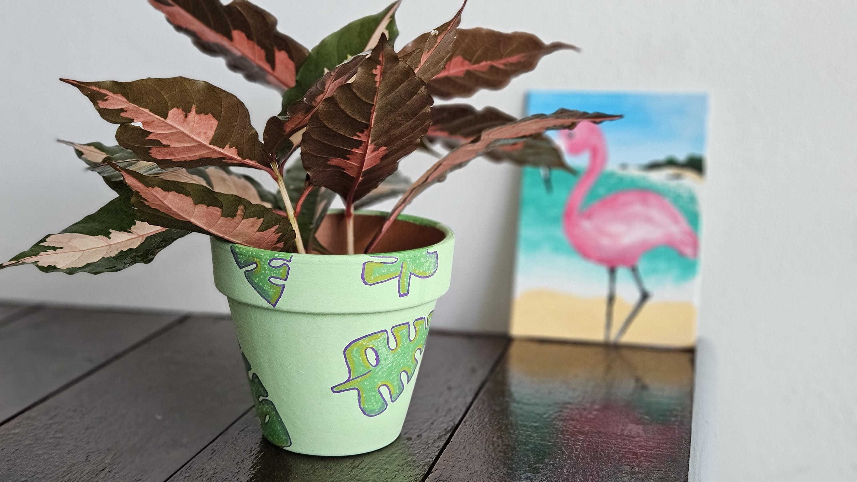 Hand-painted Monstera Leaf Terracotta Pot  Tropical Plant Pot  Pink &  Green Decor - Etsy