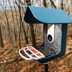May include: A teal bird feeder with a built-in camera, filled with black sunflower seeds. The feeder has a white and orange perch and is mounted on a metal pole. The background shows a forest with fallen leaves.
