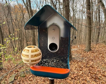 Suet Ball Holder for Bird Buddy Feeder: Holds Standard 2" Balls
