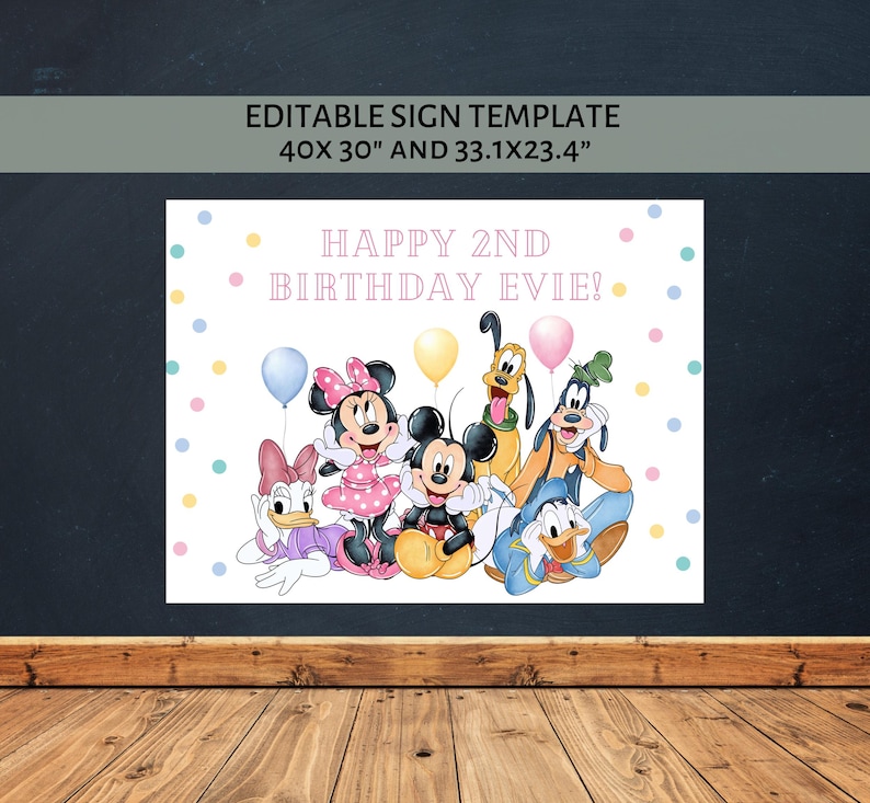 Puede incluir: Un letrero blanco con el texto "HAPPY 2ND BIRTHDAY EVIE!" e im&aacute;genes de personajes de Disney. El letrero mide 101,6 x 76,2 cm. Los personajes incluyen Mickey Mouse, Minnie Mouse, Donald Duck, Daisy Duck, Goofy y Pluto, con globos.