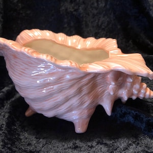 May include: A ceramic seashell planter in a soft peach color. The planter is shaped like a conch shell with a textured surface and a smooth interior. It has three small feet for stability and is suitable for small plants.