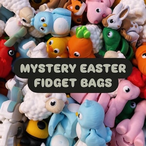 Op de afbeelding: Een verzameling kleurrijke, kleine fidget-speeltjes in verschillende dierlijke vormen, waaronder vogels, konijnen en wortels. De speeltjes zijn in tinten blauw, roze, oranje en geel. Tekst op een zwart ovaal luidt "MYSTERY EASTER FIDGET BAGS."