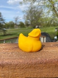 Prank Weenie Duck-Miniature Figurine For Jeep Dashboards-3D Printed Gag Funny Meme Prank Jeep Duck