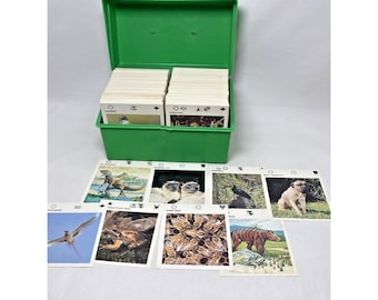 Geïllustreerde Wildlife Treasury Groene draagtas met 100's of Nature-kaarten 70s 80s Vtg