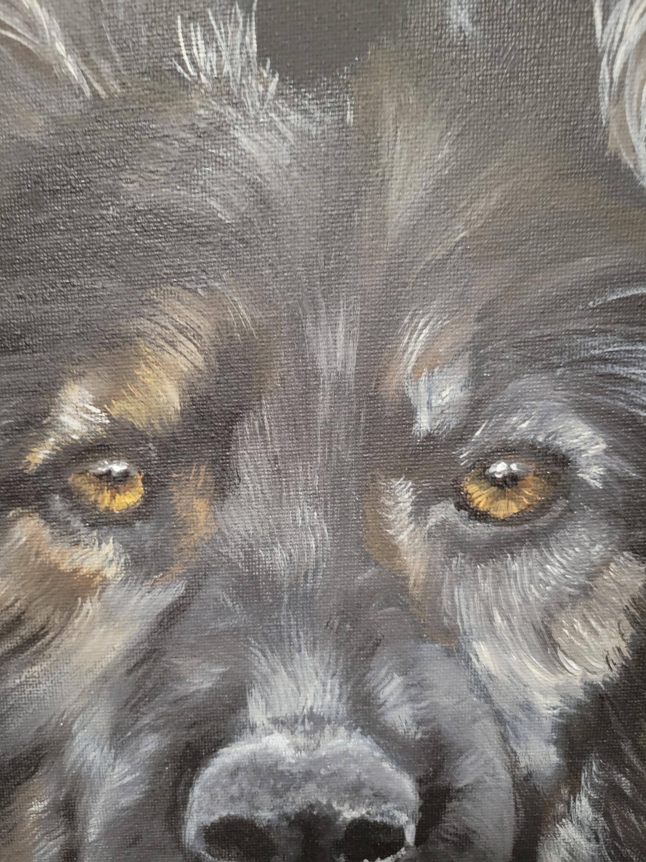 Shepherd Dog Portrait on Black Canvas - Thumbnail 2