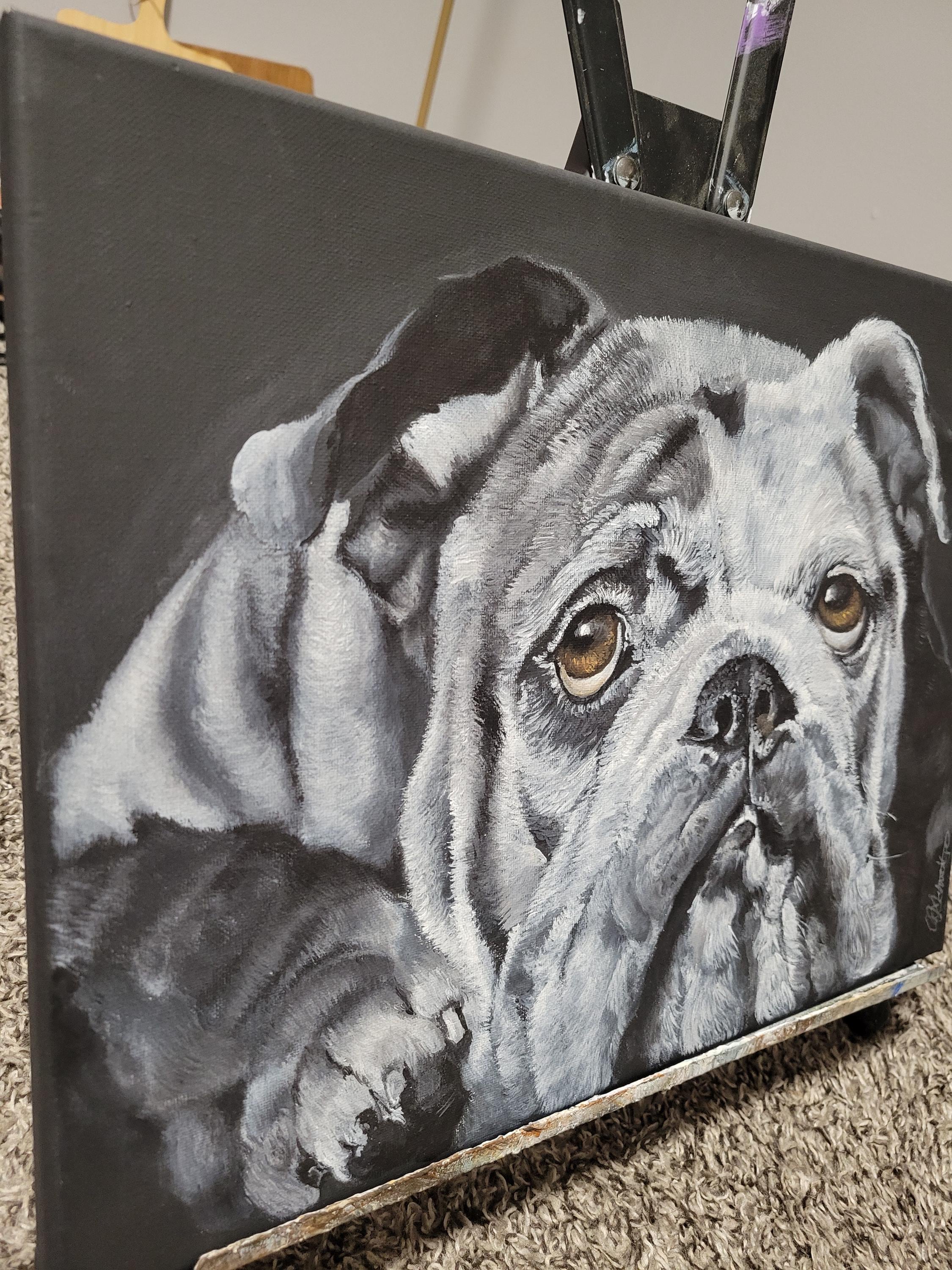 Bulldog with Soulful Eyes - Thumbnail 2