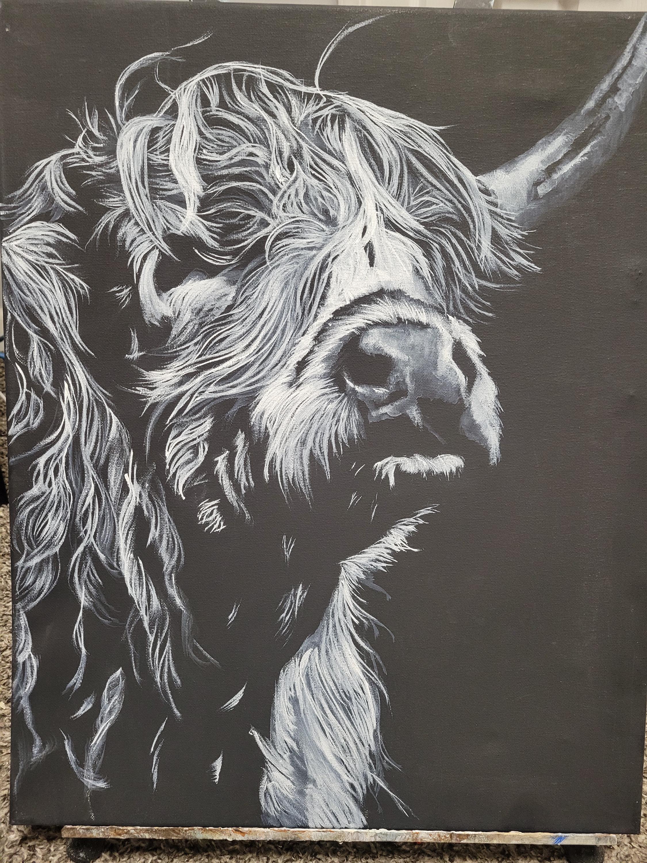 Highland Cow on Black Canvas