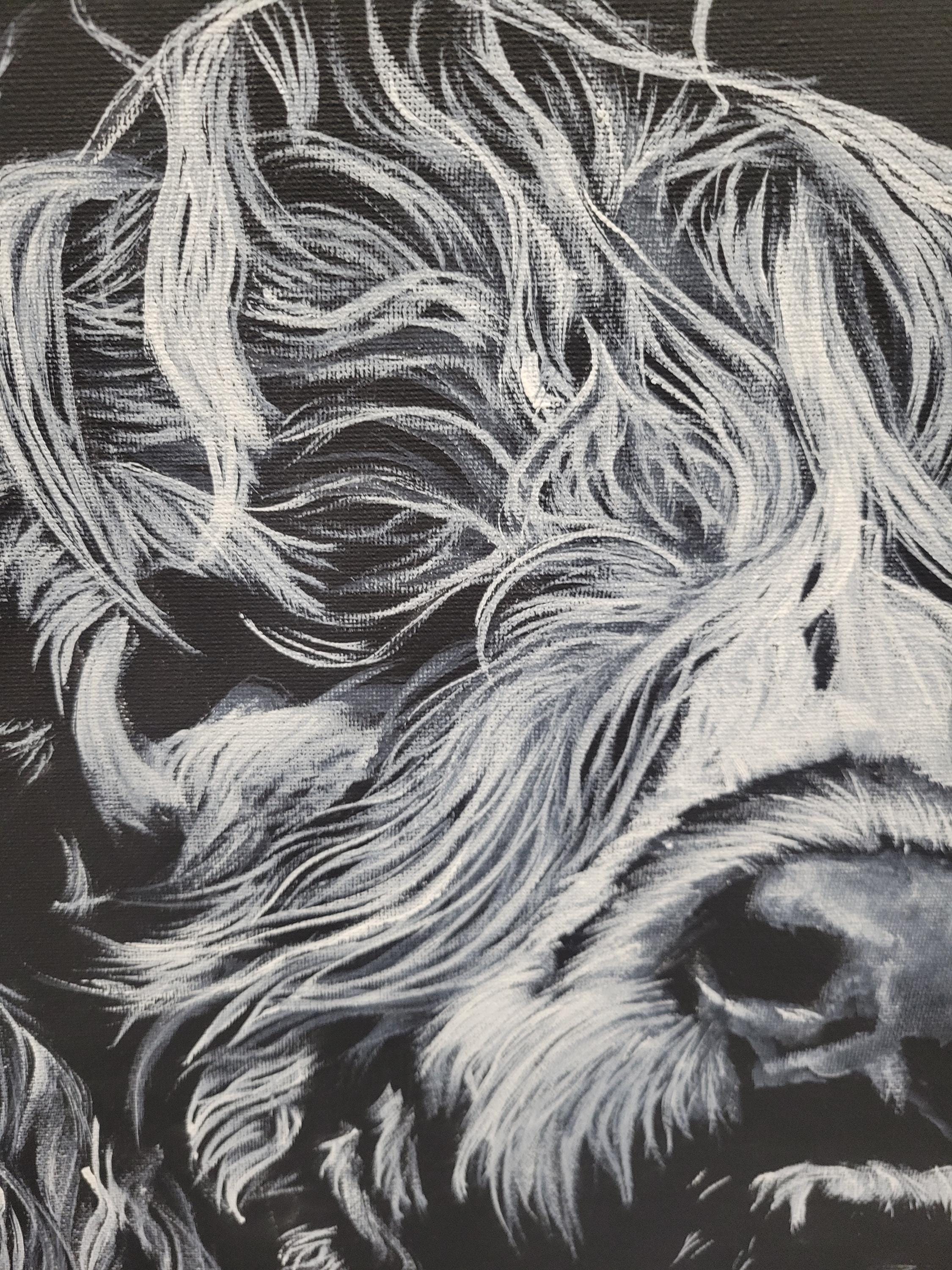 Highland Cow on Black Canvas - Thumbnail 3