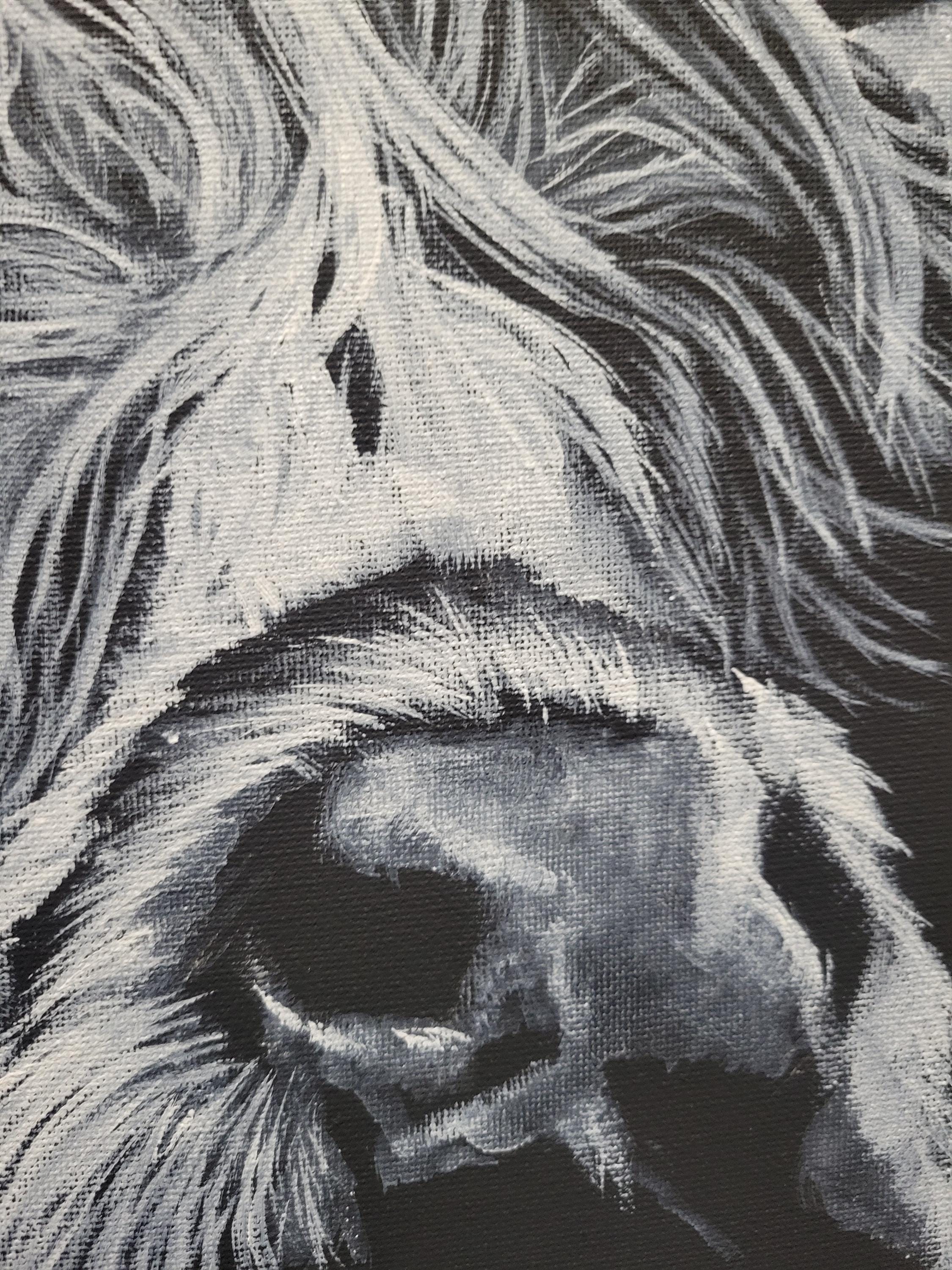 Highland Cow on Black Canvas - Thumbnail 4