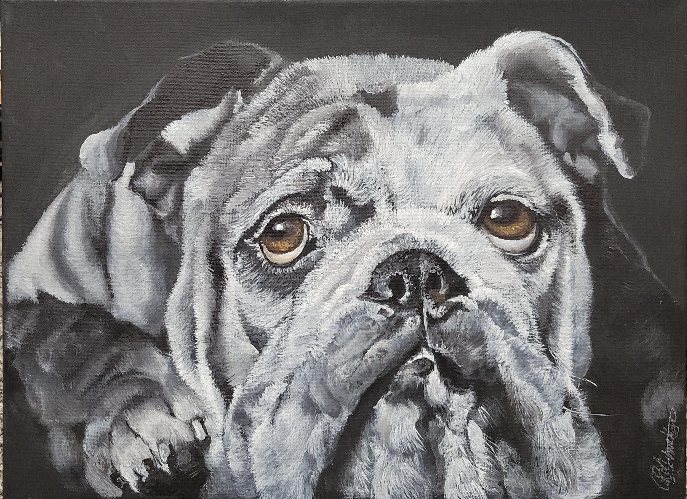 Bulldog with Soulful Eyes