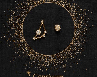 Capricorn Zodiac Constellation Stud Earrings, Mismatched Set of Capricorn Zodiac Stud and Zircon Star Stud, Capricorn Birthday Gift