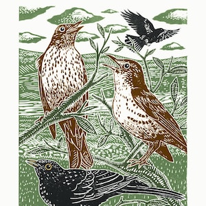 Póster linograbado tamaño A3 de "Mirlos y Zorzales" en negro, marrón, verde y amarillo.