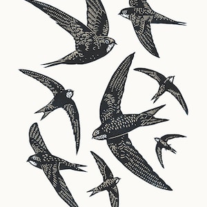 Swifts A3 linocut poster-print