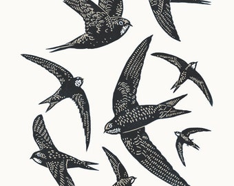 Swifts A3 linocut poster-print
