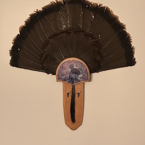 Turkey Fan Mount