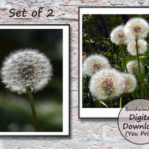 Paardebloem kunst aan de muur, Set van 2 afdrukbare foto's, DIY natuur decor paardebloem zaad bloem foto's klaar om af te drukken, close-up paar een wens doen